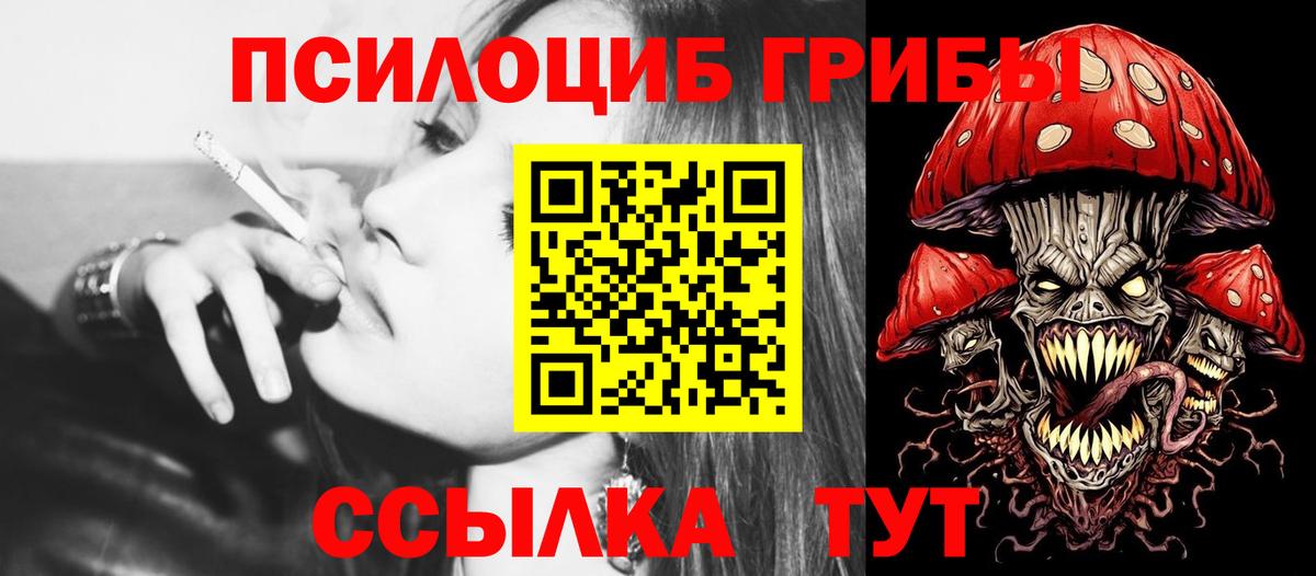 Галлюциногенные грибы GOLDEN TEACHER  Галлюциногенные грибы мицелий  Вход с VPN  Грозный 