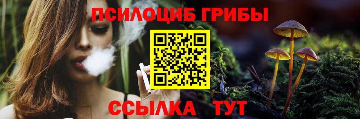 Псилоцибиновые грибы мицелий Грозный